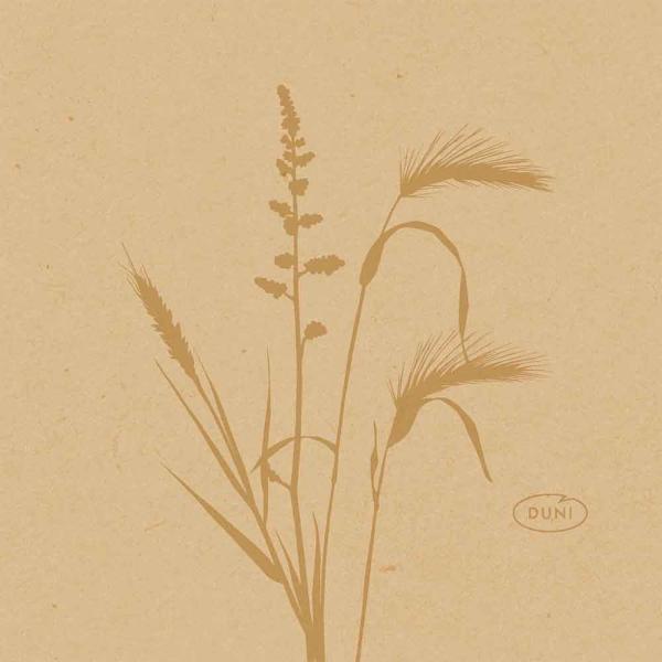 Duni Servietten Dunisoft organic 20x20cm 180 Stk. im Pack