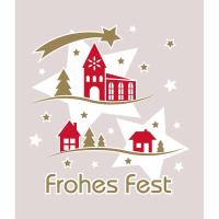 Nalo Schmal O farblos (opak) Frohes Fest (Haus-Sterne) 45/20