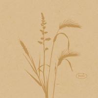 Duni Servietten Dunisoft organic 20x20cm 180 Stk. im Pack